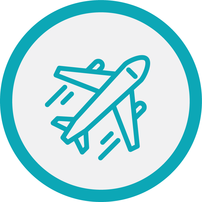 Flight Icon